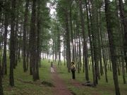 0816.예쁜_숲.jpg