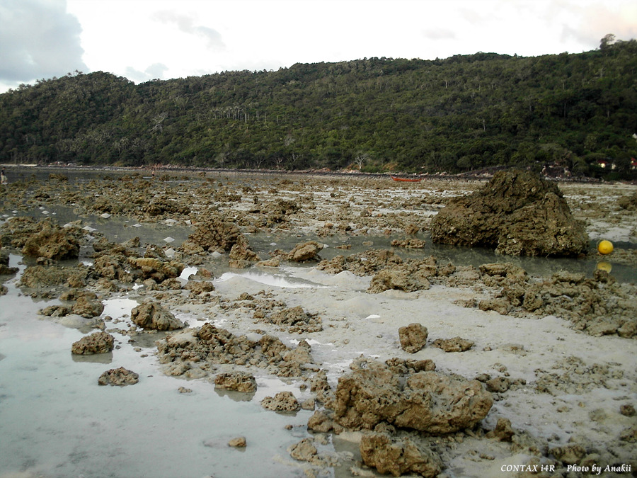 06.01.01.KohPhiphi07.jpg