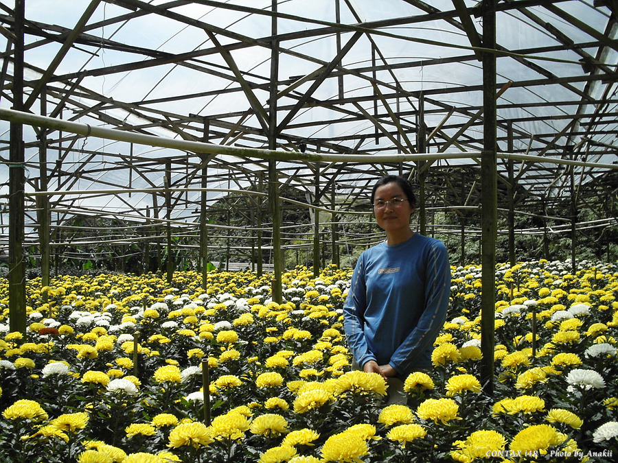 06.01.12.Trekking.FlowerFarm3.jpg