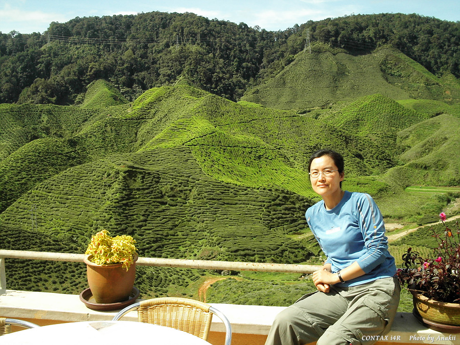 06.01.12.Trekking.ValleyTeaEstate.jpg