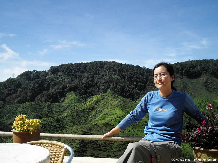 06.01.12.Trekking.ValleyTeaEstate1.jpg