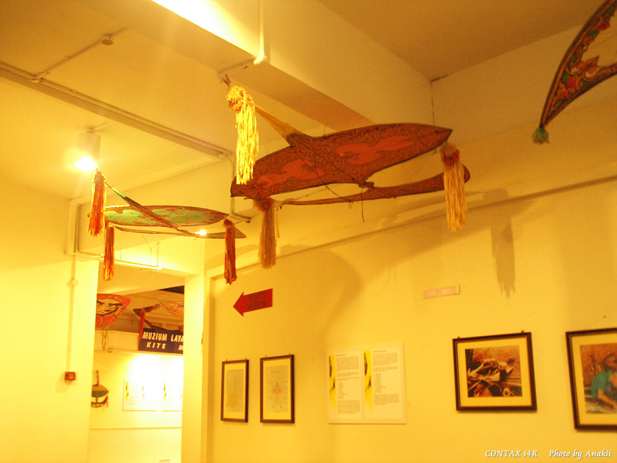 06.01.15.PeopleMuseum.Kite2.jpg