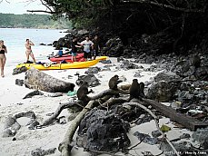 06.01.02.MonkeyBeach.jpg