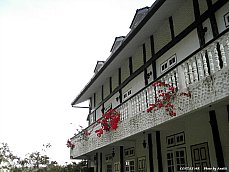 06.01.11.Hillview_Inn3.jpg