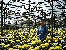 06.01.12.Trekking.FlowerFarm3.jpg