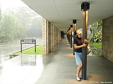 06.01.18.Singapore.Zoo.Squall2.jpg