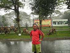 06.01.18.Singapore.Zoo.Squall4.jpg