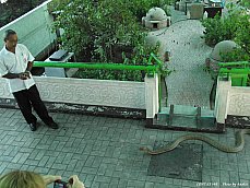 06.01.20.SnakeFarm01.jpg