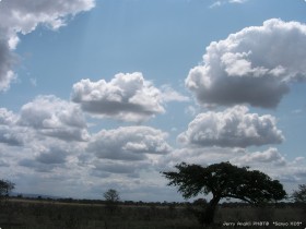 0812_toArusha-5.jpg