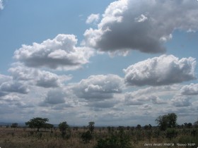 0812_toArusha-8.jpg