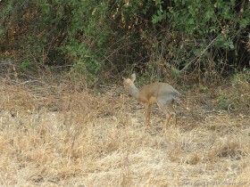 0814_Manyara-24.jpg