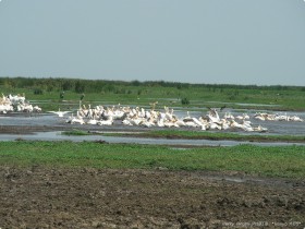 0814_Manyara-7.jpg