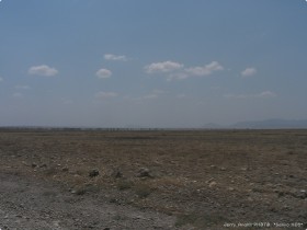 0815_toSerengeti-1.jpg