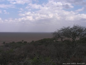 0815_toSerengeti-8.jpg