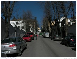 080118_09.GR_Albicyn