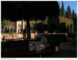 080118_79.Generalife